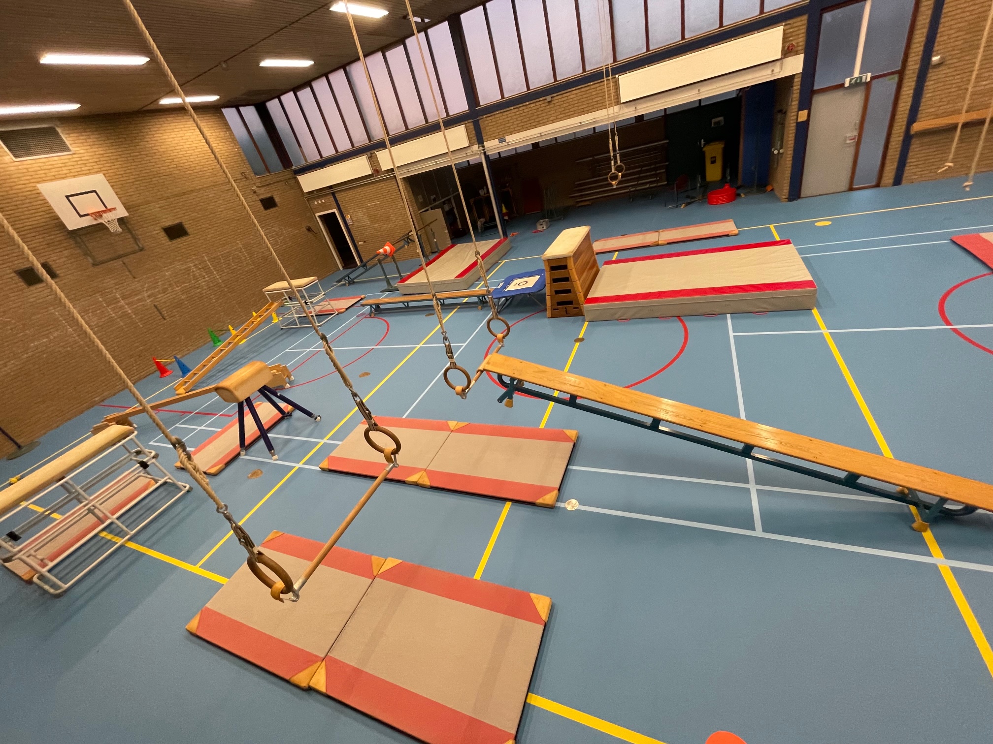 ViB projectcoördinator Impuls Innovatie Bewegingsonderwijs